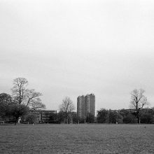 Fomapan 100 35mm Film Parallax Test Fomapan 100 35mm Film Parallax Test