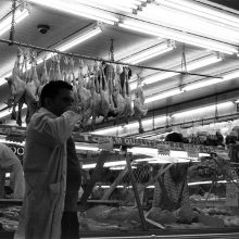 Fomapan 400 35mm Film Parallax Test