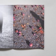 Hapax Magazine Issue 7