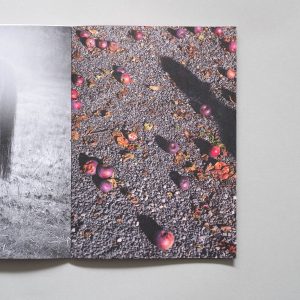 Hapax Magazine Issue 7