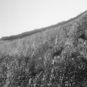 Ilford Delta 400 120 Film RF645