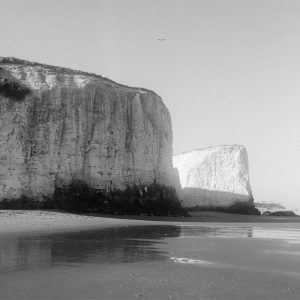 Ilford Delta 400 120 Film RF645