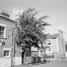 Ilford Delta 400 Film Review Ilford Delta 400 Film Review