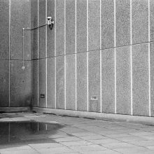 Ilford HP5 Plus 400 35mm Film Nikon FE 2 Ilford HP5 Plus 400 35mm Film Nikon FE