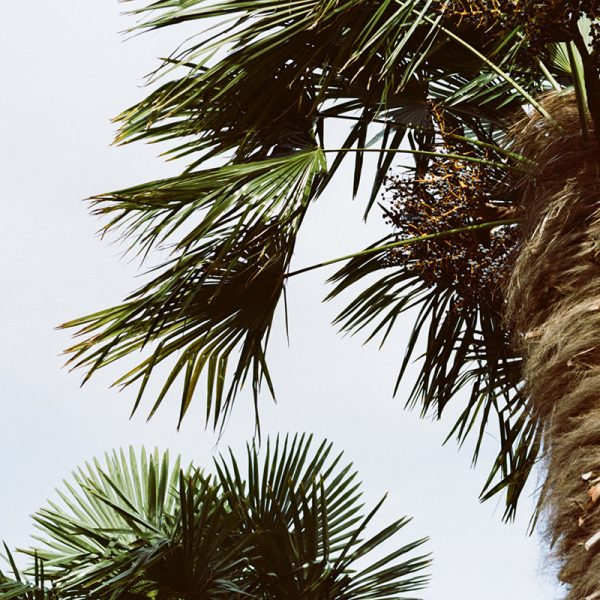 Kodak Portra 160 35mm Film