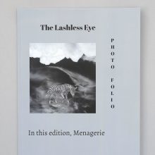 WEDGEWOOD STEVENTON The Lashless Eye - Menagerie