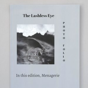 WEDGEWOOD STEVENTON The Lashless Eye - Menagerie