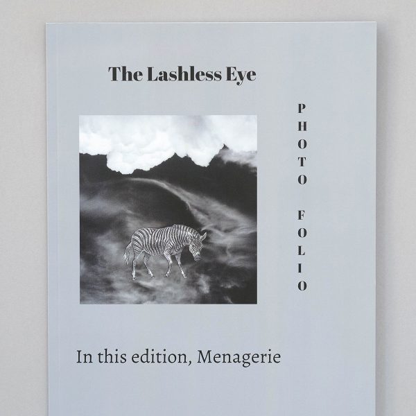 The Lashless Eye Menagerie WEDGEWOOD STEVENTON The Lashless Eye - Menagerie