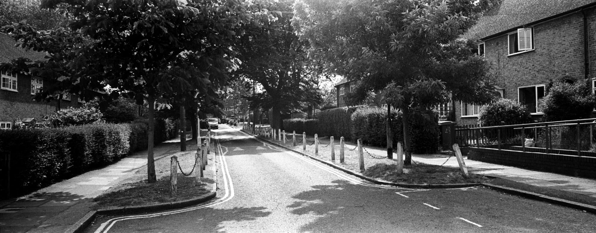 Kodak Tri-X 400 35mm Film Review shot on a Hasselblad XPan 