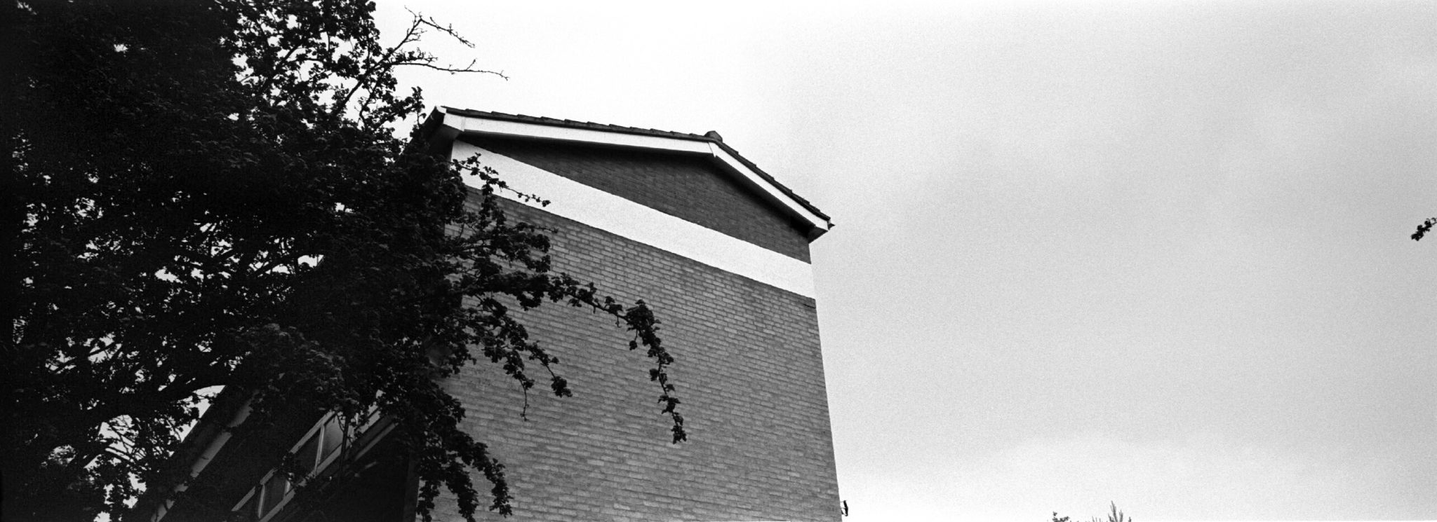 Kodak Tri-X 400 35mm Film Review shot on a Hasselblad XPan 