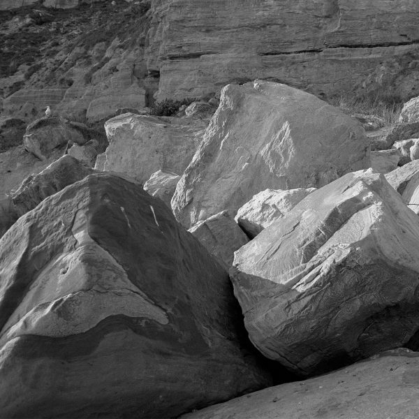 Adox-Silvermax-100-Contax-T3 (1) Adox Silvermax 100 35mm Film