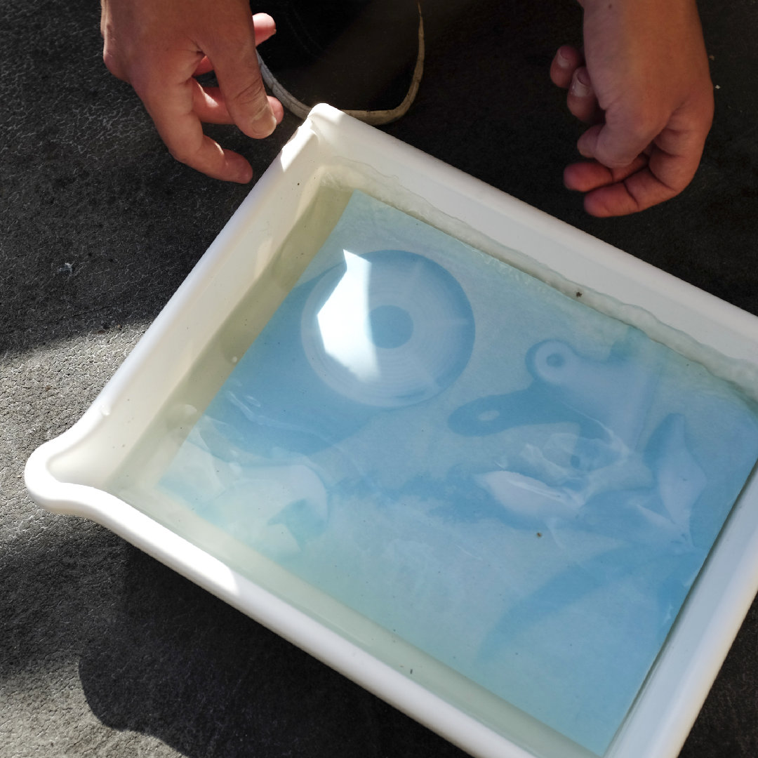 This is How You Use Cyanotype Paper Parallax Photographic Coop