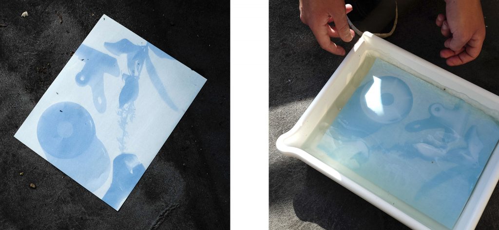 How To Use Cyanotype Paper 2