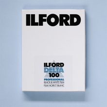 Ilford Delta 100 4x5 Film