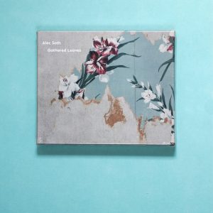 Alec Soth Gathered Leaves Postcards