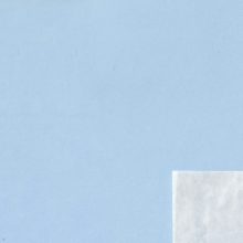 Clear Face Bags 5.5x7.5