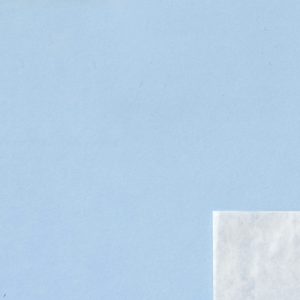 Clear Face Bags 5.5x7.5