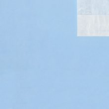 Clear Face Bags 5.5x7.5