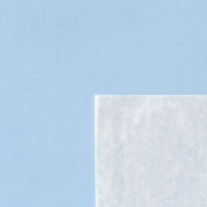 Clear Face Bags 11x13