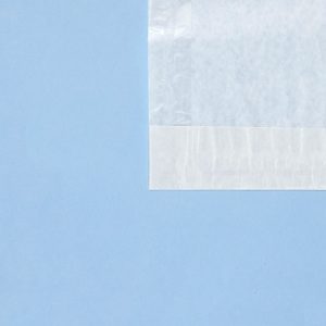 Clear Face Bags 11x13