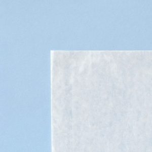 Clear Face Bags 12x17