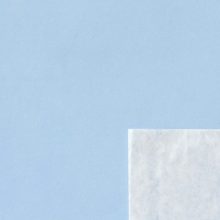 Clear Faced Bags 8x10 Clear Face Bags 8.5x10.5