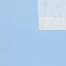 Clear Faced Bags 8x10 Back Clear Face Bags 8.5x10.5