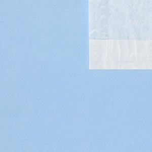 Clear Face Bags 8.5x10.5