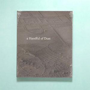 DAVID CAMPANY a Handful of Dust