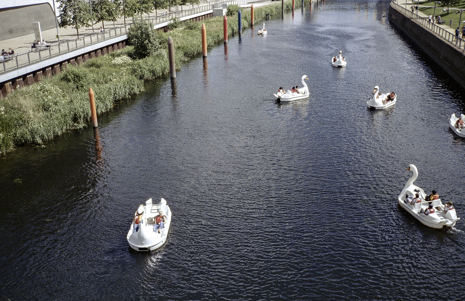 Swan Boats on canal by Olympic Park 35mm