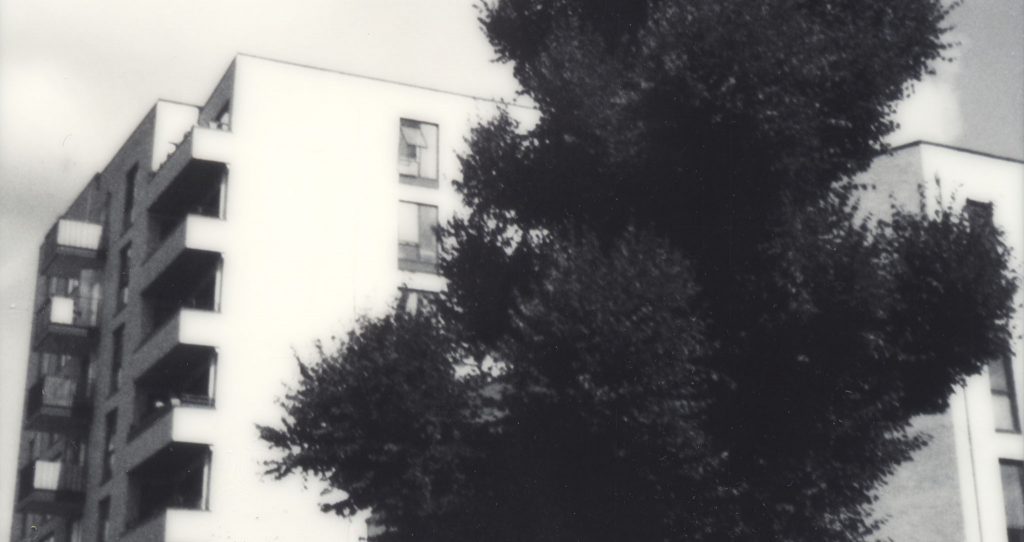 Polaroid Black and White SX-70 Film Review