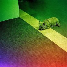 Revolog Kolor 35mm Film 3 Revolog Kolor