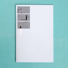 Ambient Park 1 FÉLICIA ATKINSON Ambient Park