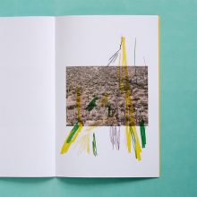 FÉLICIA ATKINSON Ambient Park