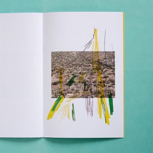 FÉLICIA ATKINSON Ambient Park