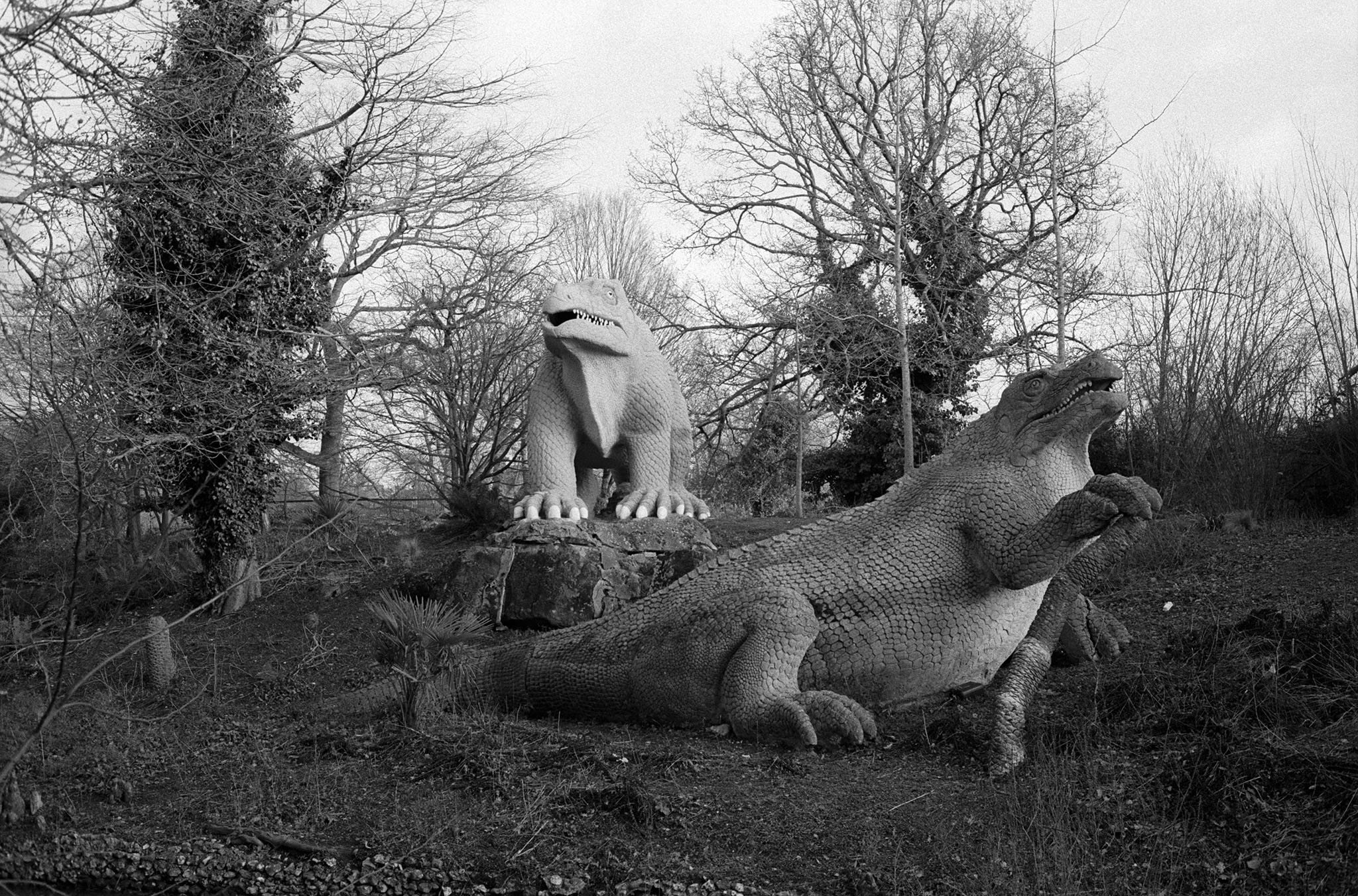 Crystal Palace Dinosaurs Black and White Film