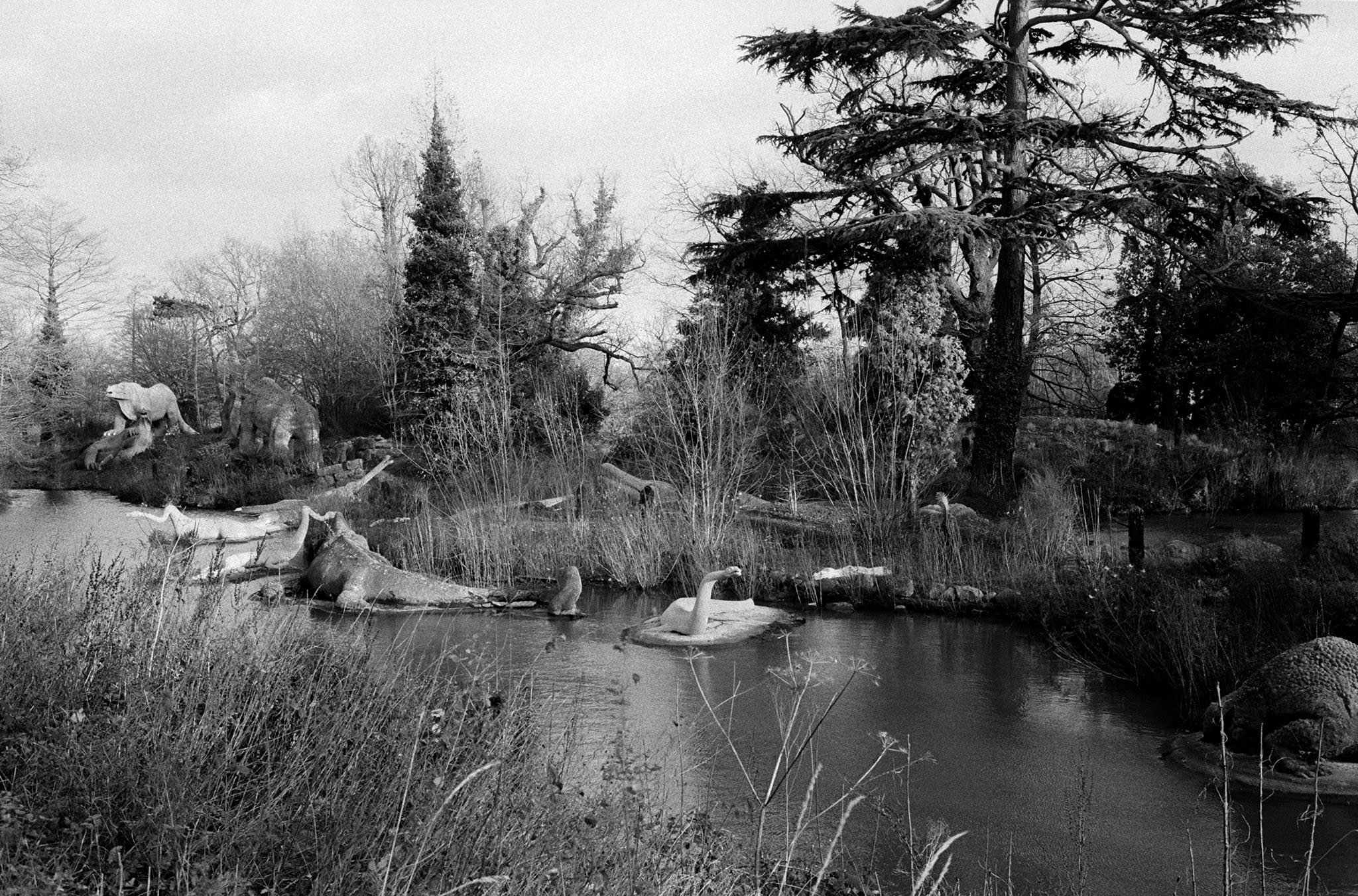 CineStill BWXX Double-X Film Review Shot on a Contax G2