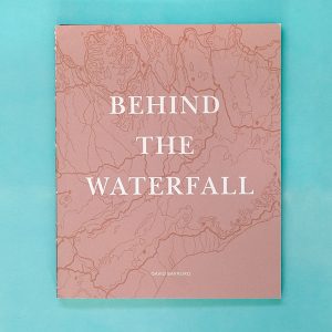 DAVID BARREIRO Behind The Waterfall