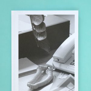 SASKIA GRONEBERG Büropflanze (Office Plant)