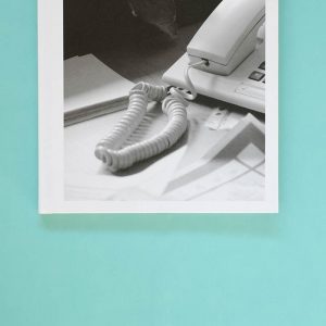 SASKIA GRONEBERG Büropflanze (Office Plant)