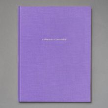 Paul Graham a shimmer of possibility