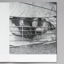 Phoebe Kiely They Were My Landscape 2 PHOEBE KIELY They Were My Landscape