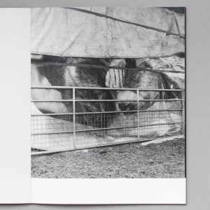PHOEBE KIELY They Were My Landscape