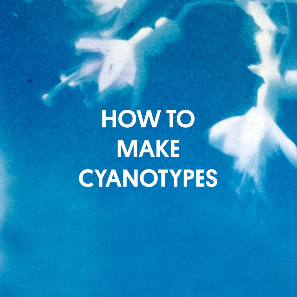 HOW TO MAKE CYANOTYPES