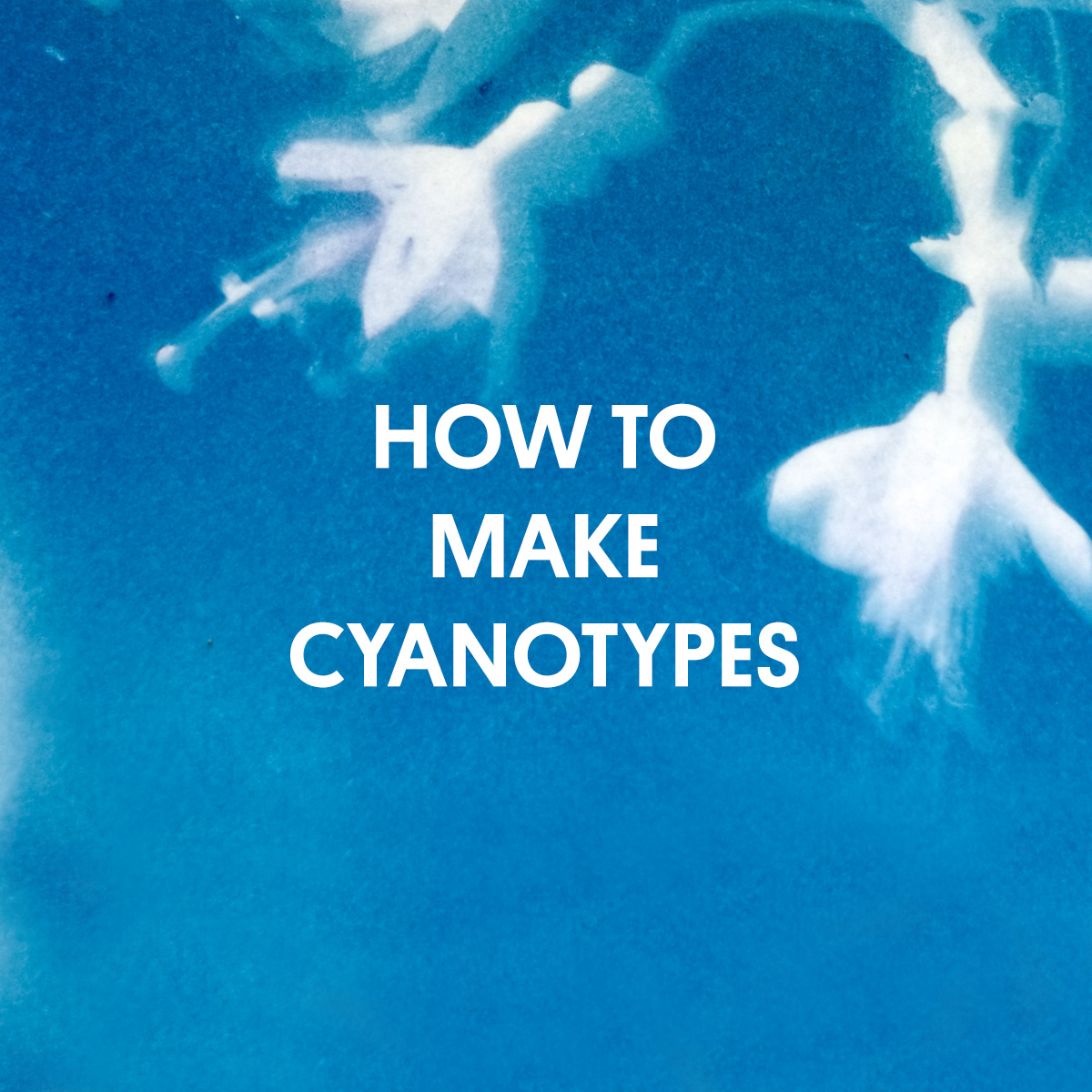  how to make digital negatives parallax photographic coop