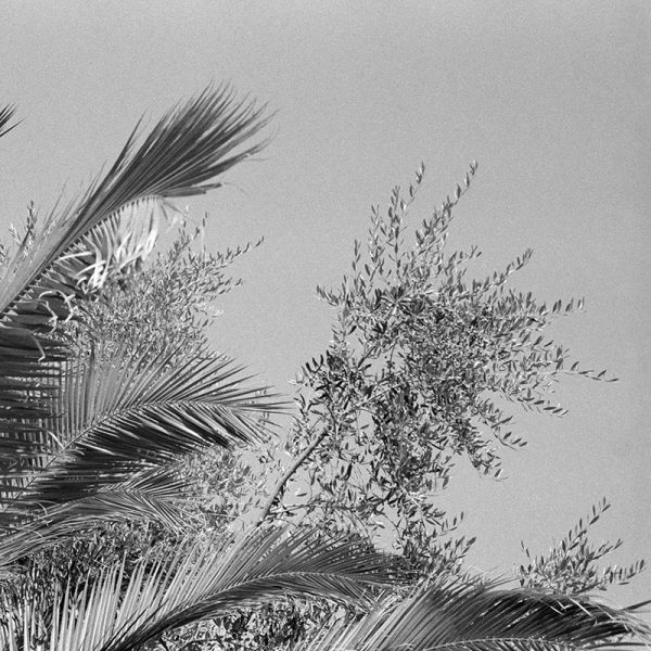 Street Candy ATM 400 Brixton 3 Street Candy ATM 400 35mm Film