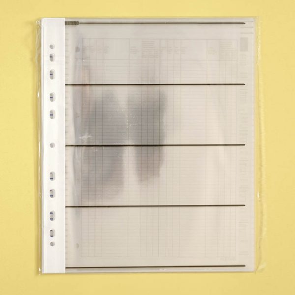 Kenro 120 Clear Negative Storage Pages 2 Kenro 120 Clear Negative Storage Pages