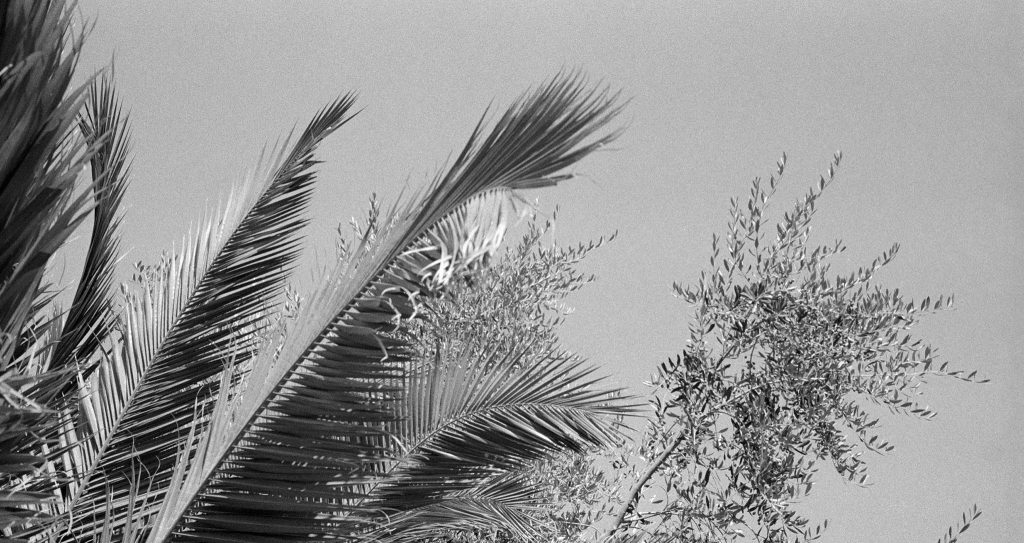 Street Candy ATM 400 Film Review