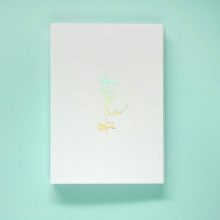 JASPER JONES Scroll Book 2 JASPER JONES Scroll Book