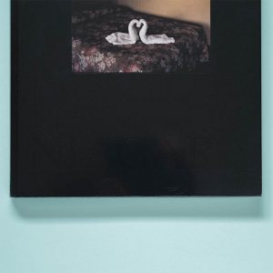 ALEC SOTH Niagra